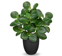 Villa Como 14.5" Artificial Plants Indoor Home Decor, Fake Potted Silk Plants for Shelves Living Room Decorative, Small Artificial Office Desk Plants in Pots, Faux Peperomia Hope Tropical House Plant