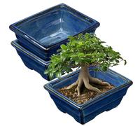 Villa Como Bonsai Pots Shallow Succulent Planters Set of 2, 6.3" Ceramic Indoor/Outdoor with Drainage Hole, Blue