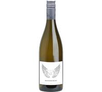 Villa des Anges - Sauvignon Blanc 2024 - Jeff Carrel