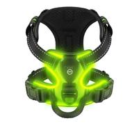 Villabliss Light Up Dog Harness - Essential for Dog Walking Safety at Night, Service Dog Vest with Three LED Light Modes, Flashing for More Than 20 Hours, Rechargeable, Oxford Cloth(Green/Medium)