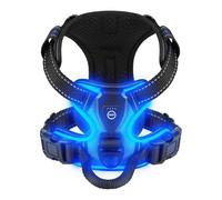 Villabliss Light Up Dog Harness - Essential for Dog Walking Safety at Night, Service Dog Vest with Three LED Light Modes, Flashing for More Than 20 Hours, Rechargeable, Oxford Cloth(Blue/X-Large)