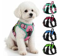 Villabliss Light Up Dog Harness Rechargeable for Night Walking | No choking adjustable, LED, 3 light modes, 20-hour battery life, reflective, breathable, durable oxford