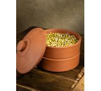 Village decor terracotta sprout box (2 container with clay lid)