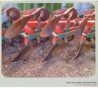 Village Orchestra, The - Et in Arcadia Ego