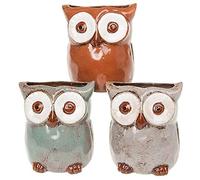 Village Pottery Set of 3 Owl Glazed Planter Plant Pot Flower Pot Small Brown Sage Grey