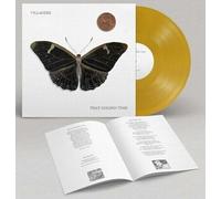 VILLAGERS LP That Golden Time GOLD VINYL Limited Indies Edition MAILS SAME DAY