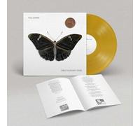 Villagers - That Golden Time [VINYL]