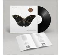 Villagers - That Golden Time - Vinyl / 12" Album