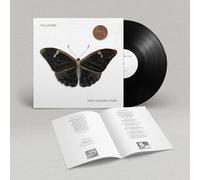 Villagers : That Golden Time VINYL 12" Album (2024) NEW Quality guaranteed