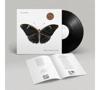 VILLAGERS - THAT GOLDEN TIME - Vinyl Record 12 RECORD - 78 - V1111z