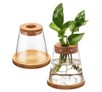 VILLCASE 2pcs Hydroponics Glass Flower Pots 330ml with Wood Stands and Tapered Design for Indoor Plant Propagation and Goldfish Display, for Balconies and Housewarming Presents