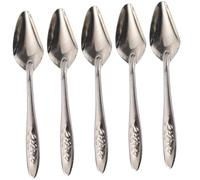 VILLCASE 5Pcs Metal Parrot Feeding Spoon Bird Feeder Spoon for Small to Large Parrots and Pet Birds Wear-resistant Head Design for Easy Feeding at Home Pet Stores