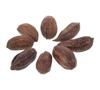 VILLCASE 8Pcs Parrot Foraging Natural Dried Fruit Chew Accessories for Budgies Cockatiels to Encourage Healthy Beak Maintenance and Reduce Boredom