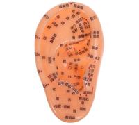 VILLCASE Ear Acupressure Model 17cm Reflexology Tools Ear Acupuncture Point Simulation Teaching Massage Nursing Practice Alternative Medicine
