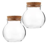 VILLCASE Ecological Decorative Glass 2pcs with Cork Lid Bottle Spherical Air Plant Holder Easy to Clean Micro Landscaping Container for Moss Micro-landscape Plants for Home or Desktop