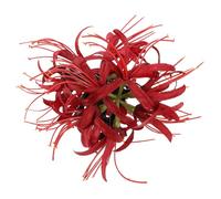 VILLCASE Large Flower Claw Hair Clip for Women, Decorative Plastic and Cloth Material, Easy to Use Hair Jaw Clamp Strong Hold, for Shower and House Cleaning