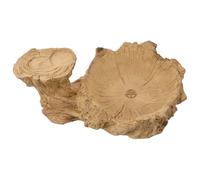 VILLCASE Plant Trays for Indoors Resin Tray Not Easy to Break Suitable for Desktop Hydroponic Lucky Wood Plants Khaki Color