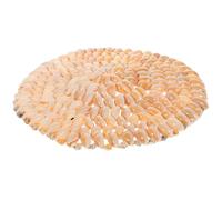 VILLCASE Reusable Shell Coasters with Teacup Protective Effect, Elegant Beach Style Cup Heat Resistant Mats for Drinks, Natural Shell Drink Cup Mats for Home Décor and Coffee Color