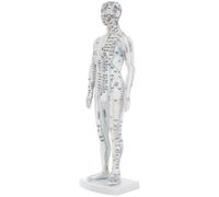 VILLCASE White Plastic Acupuncture Mannequin Body Acupoint Model with Male Pressure Points and Meridians, for Massage Display Model Setups and Acupuncturists Training Supplies