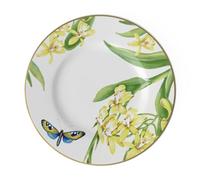 Villeroy & Boch 10-4381-2650 Amazonia Grace Breakfast Plate, Porcelain