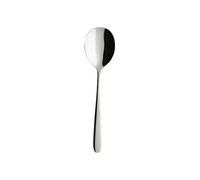 Villeroy & Boch 1264031270 210 mm Cutlery Daily Line Serving Spoon, Stainless_Steel
