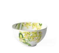 Villeroy & Boch 13 cm Amazonia Bowl, Multi-Colour