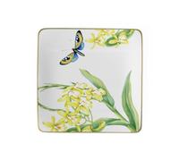 Villeroy & Boch - Amazonia Salladstallrik, 23x23 cm