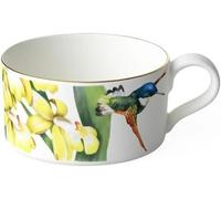 Villeroy & Boch Tea Cup - Amazonia 230ml Gift