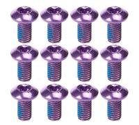 VILLFUL 1 Box Purple Titanium Steel Brake Pad Screws M5x10mm for Disc Brakes on Touring Bikes and E-bikes High Strength and Temperature Resistant