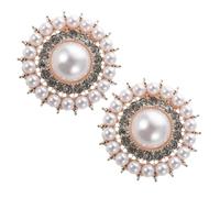 VILLFUL 2pcs Elegant Rhinestone Shoe Clips for Women High Heel and Professional Footwear Removable Decorative Pearl and Crystal Buckle for Wedding and Party Accessories
