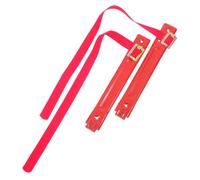 VILLFUL 2pcs Sturdy Metal Fire Extinguisher Mount Bracket Wall Hook for Extinguishers Heavy Duty Space-saving Holder with Quick Installation Suitable for Trucks and Home Safety