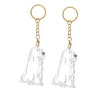 VILLFUL 2pcs Transparent Pet Hair Keepsake Keyring Portable Dog Hair Storage Box for Puppy Keepsake Space-saving Organizer for Whiskers and Mementos Easy-clean Memorial Charm for Pet