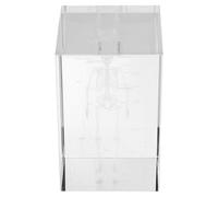 VILLFUL 3D Crystal Cube Human Skeleton Anatomical Model with Heart Lung Brain Structure Display, Educational Science Decor Paperweight for Medical Students and Home Office