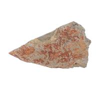 VILLFUL Authentic Fern Specimen Stone Display, Natural Stone Material with Lasting Durability, for History Museum Display Or Office Desk Decoration, Inspiring Curiosity about Prehistoric