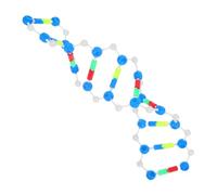 VILLFUL Double Helix Dna Model Kit Accurate Genetics Teaching Tool for Biology Science Education Interactive Molecular Structure for School Laboratory Science Fair Classroom Use