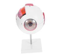 VILLFUL Enlarged Eye Anatomy Model with Numbered Parts Detachable Stand Realistic Human Eyeball for Medical Teaching Science Classroom Display Homeschool Biology Study Aid