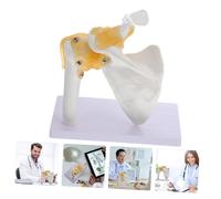VILLFUL Human Shoulder Joint Skeleton Teaching Model with Ligaments Anatomical Medical Skeleton for School and Hospital Education Bone Structure Stable Base for Classroom Use