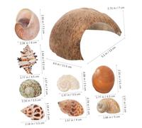 VILLFUL Pet Coconut House Hideout Reptile Hide Gecko Hide Sea Conch Shell for Crabs Aquarium Decoration Shells for Aquarium