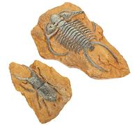VILLFUL Reptile Decor Set 2pcs Lizard Box Ornaments Chameleon Gecko Lizard Terrarium Accessories Snake Vivarium Decor