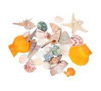 VILLFUL Set of 21 Natural Sea Conch Shells for Aquarium Unique Fish Tank Decor Home Ornament Non-impact on Water Quality