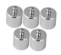 VILLFUL Stainless Steel 5Pcs Calibration Weights 100 Gram Chrome-Plated M2-Grade for Digital Jewellery Scale Teaching Instruments