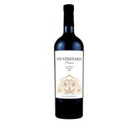 Vin Vineyards Paanam Premium Malbec Red Wine 2019 75cl 15% ABV | 15 Months New Oak Aged Super Premium Red Wine from Uco Valley, Mendoza, Argentina