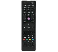 VINABTY RC4875 Replace Remote for Telefunken TV RC4870 RC4849 D32H278A3CW D39F275Q3C D40F272A3 L40F278M3C-3D L48F249X3CW-3DU T39EX1650-SAT TFL40DL275B15 XD28HDV DGQ32169HDRD TE40275N2 TE19180B31T10E