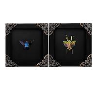 VinaTimes 2 Real Green Mantis Blue Bee Frames Dead Insect Dried Bug Shadow Box Wood Oddity Framed Taxidermy Collectables Specimen Reading Wall Hanging Art Home Decor Living Gallery K12-61DE62DE