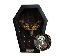vinatimes Dead Head Moth Coffin Taxidermy Gift Dark Decor Dried Specimen Gothic Decor Entomology Curiosities Shadow Box Display Oddity Hanging Display Table Wall Home Room Decor CF18-01-NEM