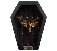 vinatimes Dead Head Moth Coffin Taxidermy Gift Dark Decor Dried Specimen Gothic Decor Entomology Curiosities Shadow Box Display Oddity Hanging Display Table Wall Home Room Decor CF18-01-NEM