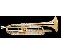 Vincent Bach Trombone Cleaning and Care Product (B188S)