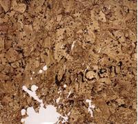 Vincent - It's Only Wasteland, Mum!