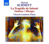 Vincent Larderet - Schmitt: Ombres