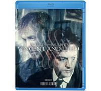 Vincent & Theo [Blu-ray] [1990] [US Import]